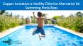 Copper Ionization a Healthy Alternative for Chlorine Free Swimming Pools & Spas – Intec America PowerPoint PPT Presentation
