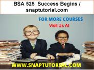 BSA 525  Success Begins / snaptutorial.com