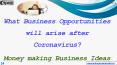 Business Opportunities available after Covid-19 PowerPoint PPT Presentation