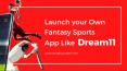 Dream11 Clone Script to Launch your Own Fantasy Sports App