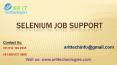 Selenium Job Support | Selenium Online Job Support - AR IT PowerPoint PPT Presentation