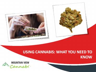 Using cannabis what you need to know