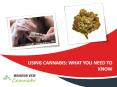 Using cannabis what you need to know PowerPoint PPT Presentation
