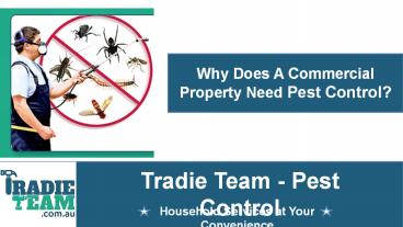 Why Does A Commercial Property Need Pest Control? - Pest Control