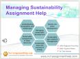 Managing Sustainability Assignment Help By MBA And Ph.D. Experts PowerPoint PPT Presentation