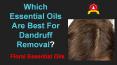 Best Essential Oils for Hair Dandruff PowerPoint PPT Presentation
