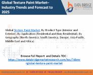 Texture Paint Market