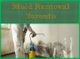 Mold Removal Toronto PowerPoint PPT Presentation