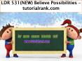 LDR 531(NEW) Believe Possibilities--tutorialrank.com PowerPoint PPT Presentation