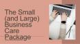 The Small Business Care Package PowerPoint PPT Presentation