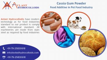 Cassia Gum Powder as a Food Additive in Pet Food Industry