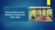 Evolution of the Modest Living Room Bean Bag