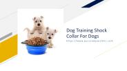 Dog Training Shock Collar For Dogs