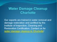 Water Damage Cleanup Charlotte