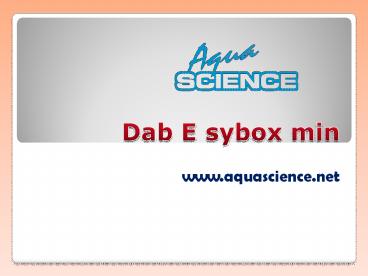 Dab E sybox min