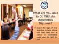 What are you able to Do With An Aesthetics Diploma? PowerPoint PPT Presentation
