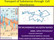 transport of substances through cell membrane