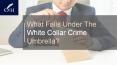 What Falls Under The White Collar Crime Umbrella? PowerPoint PPT Presentation