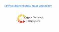 CRYPTOCURRENCY CURBED READY MADE CLONE SCRIPT PowerPoint PPT Presentation