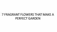 7 FRAGRANT FLOWERS THAT MAKE A PERFECT GARDEN PowerPoint PPT Presentation