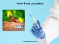 Get Yellow Fever Vaccination in the UK area PowerPoint PPT Presentation