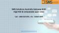 SMS Solutions Australia Gateway With High ROI & Unbeatable open rates PowerPoint PPT Presentation