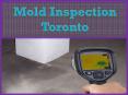 Mold Inspection Toronto PowerPoint PPT Presentation