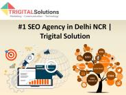 SEO Agency in Delhi - Trigital Solutions