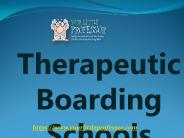 Therapeutic Boarding Schools - www.yourlittleprofessor.com