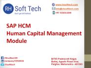 SAP HCM (Human Capital Management ) Interactive Online Training
