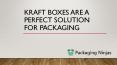 custom Kraft boxes is that you can get them on wholesale. PowerPoint PPT Presentation