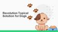 All About Revolution Topical Solution for Dogs PowerPoint PPT Presentation