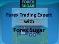 Free Forex Trading Robot PowerPoint PPT Presentation