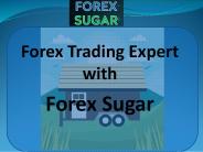 Free Forex Trading Robot