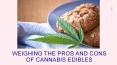 WEIGHING THE PROS AND CONS OF CANNABIS EDIBLES PowerPoint PPT Presentation