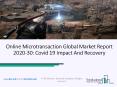 Online Microtransaction Market Size, Growth, Segments And 2020 Forecasts Research PowerPoint PPT Presentation