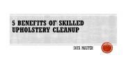 5 Benefits of Skilled Upholstery Cleanup