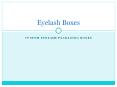 Eyelash Boxes PowerPoint PPT Presentation
