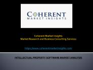 INTELLECTUAL PROPERTY SOFTWARE MARKET ANALYSIS (1)