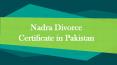 Nadra Divorce Certificate - Nadra Verified Divorce Certificate PowerPoint PPT Presentation