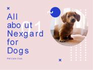 all about Nexgard for dogs