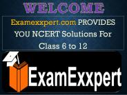ncert books for class 9