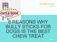 6 Reasons why Bully Sticks for Dogs is the Best Chew Treat PowerPoint PPT Presentation