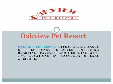 Dog Hotel Daycare Chicago Il