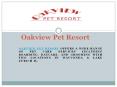 Dog Hotel Daycare Chicago Il PowerPoint PPT Presentation
