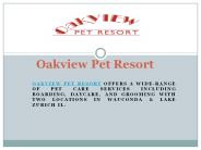 Dog Hotel Daycare Chicago Il