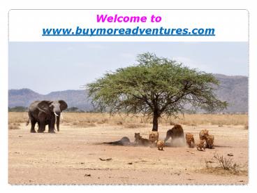 Professional Guide to Experience the Splendid Adventure Safari in Kenya on Budget