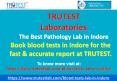 Best Pathology Lab in Indore-TRUTEST Laboratories PowerPoint PPT Presentation