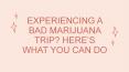 EXPERIENCING A BAD MARIJUANA TRIP? HERE’S WHAT YOU CAN DO PowerPoint PPT Presentation