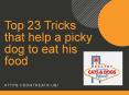 Top 23 Tricks that help a picky dog to eat his food PowerPoint PPT Presentation
